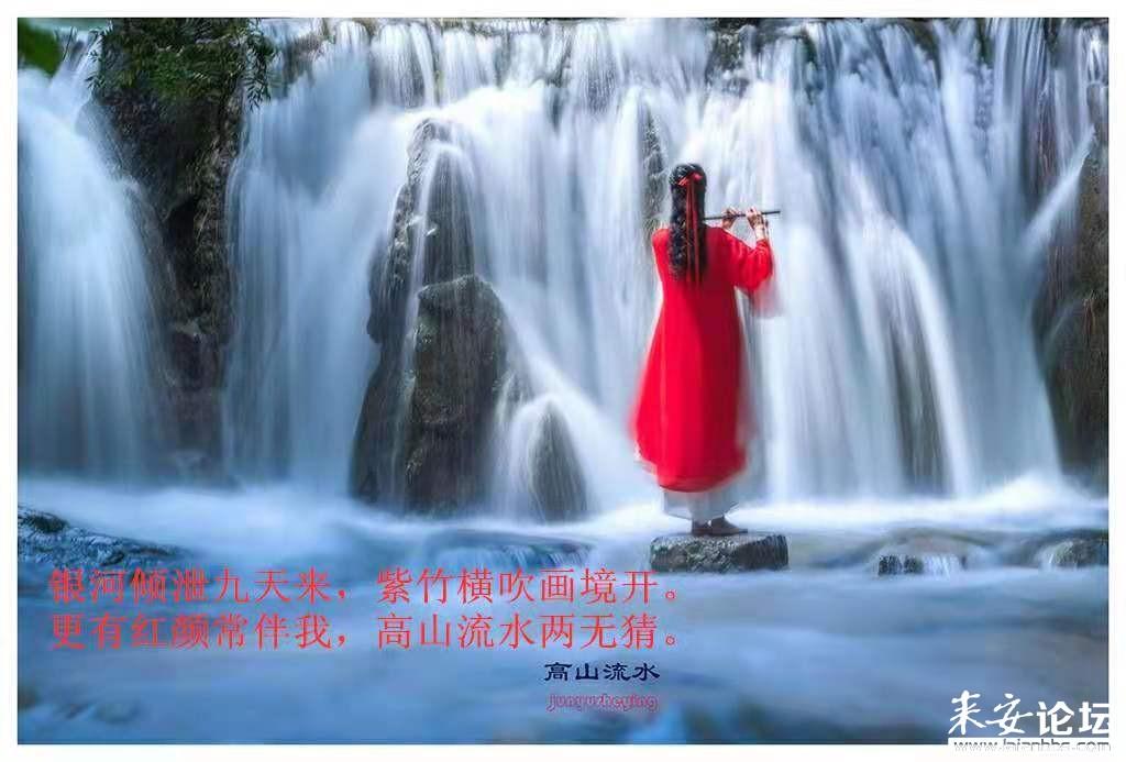 虫虫助手下载