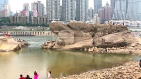 虫虫助手下载